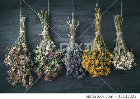 Hanging bunches of medicinal herbs and flowers. Hanging bunches of medicinal herbs and flowers. 33133322