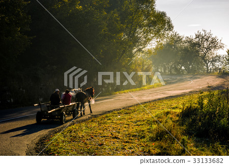 horse cart on serpentine on foggy morning 33133682