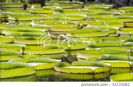 Sungai Park Dawanglian Sungai Park Dawanglian 33135062