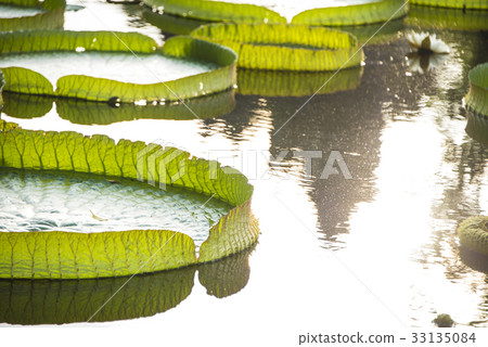 Sungai Park Dawanglian Sungai Park Dawanglian 33135084