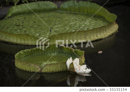 Sungai Park Dawanglian 33135154