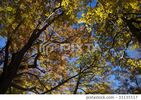 [智利]托雷斯德爾潘恩國家公園景觀 33135517