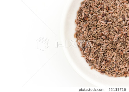 Syllium seeds Psyllium seeds Plantain seeds: Psyllium seeds Syllium seeds Psyllium seeds Plantain seeds: Psyllium seeds 33135716