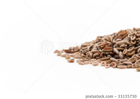 Syllium seeds Psyllium seeds Plantain seeds: Psyllium seeds Syllium seeds Psyllium seeds Plantain seeds: Psyllium seeds 33135730