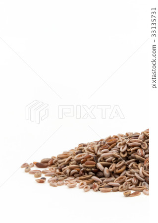 Syllium seeds Psyllium seeds Plantain seeds: Psyllium seeds Syllium seeds Psyllium seeds Plantain seeds: Psyllium seeds 33135731