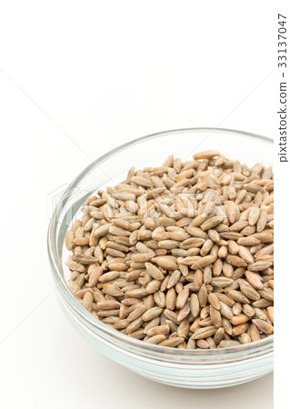 黑麥：黑麥漿果 33137047