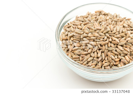 黑麥：黑麥漿果 33137048