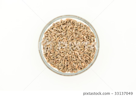 黑麥：黑麥漿果 33137049