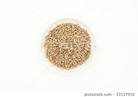 黑麥：黑麥漿果 33137050