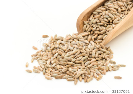 Rye: Rye berries 33137061