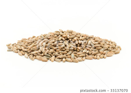 Rye: Rye berries 33137070