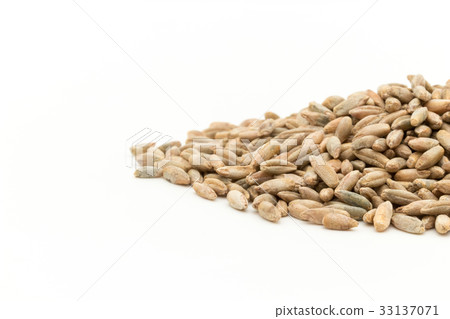 黑麥：黑麥漿果 33137071