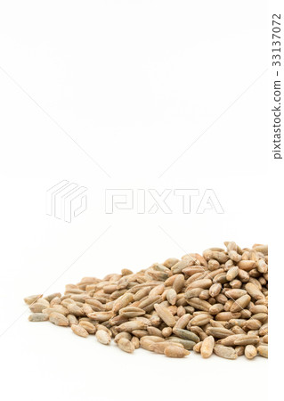 黑麥:黑麥漿果 黑麥:黑麥漿果 33137072