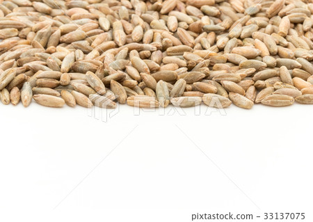 黑麥：黑麥漿果 33137075