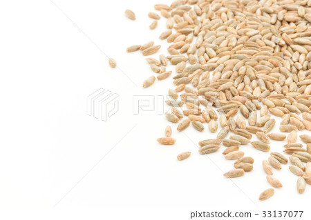 黑麥：黑麥漿果 33137077