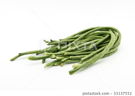 長頸豆：Yardlong豆 33137552