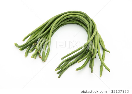 長頸豆：Yardlong豆 33137553