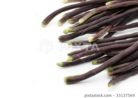 Purple long bean: Purple yardlong bean 33137569