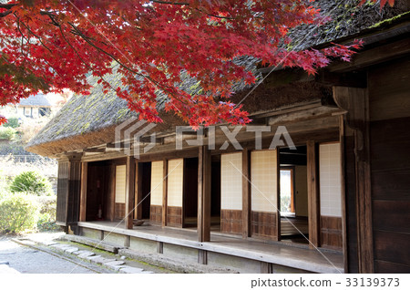 迦山和秋天的落葉 33139373