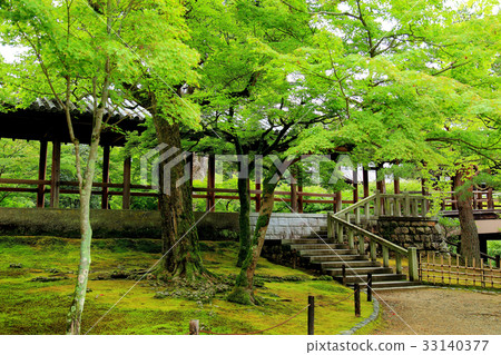 Kyoto Aomori Tofukuji Temple Kyoto Aomori Tofukuji Temple 33140377