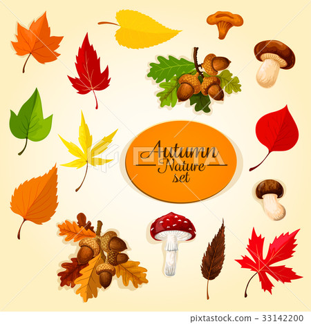 Autumn season icon set with leaf and mushroom - Stock Illustration ...