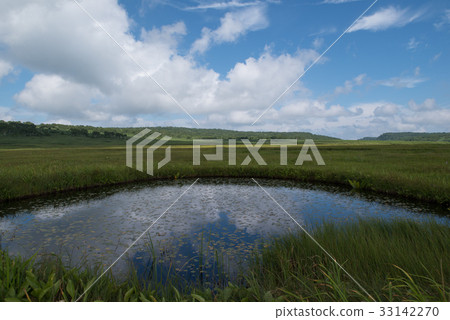 Rainyuunumi Mogahara Rainyuunumi Mogahara 33142270