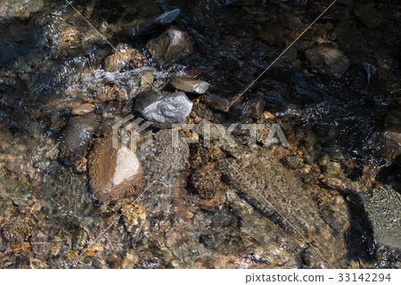 Rainyuunumi Mogahara Rainyuunumi Mogahara 33142294