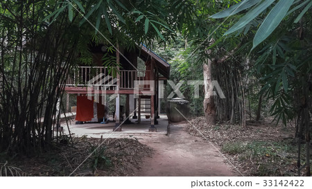 passage of the temple in the wild. 33142422