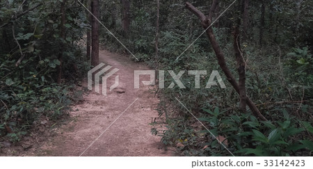 passage of the temple in the wild. passage of the temple in the wild. 33142423