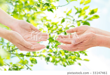 close up of senior and young woman hands close up of senior and young woman hands 33147461