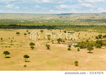 maasai mara national reserve savanna at africa 33147874