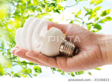 close up of hand holding energy saving lightbulb close up of hand holding energy saving lightbulb 33148813