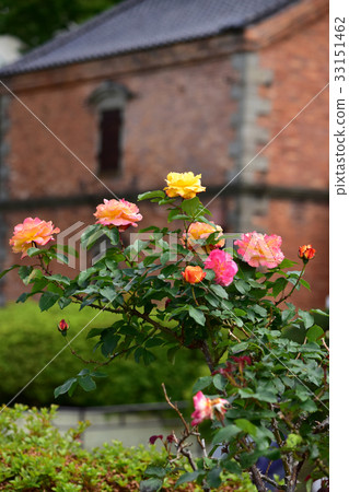 Motomachi Park brick storehouse and Anne Rose 33151462