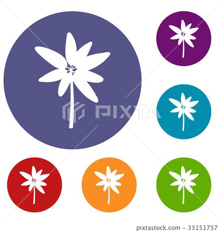 Long palm icons set Long palm icons set 33151757