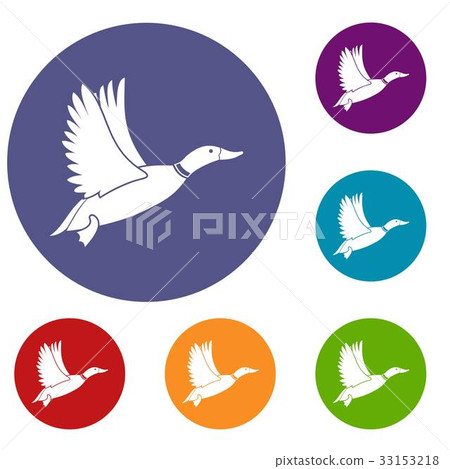 Duck icons set Duck icons set 33153218
