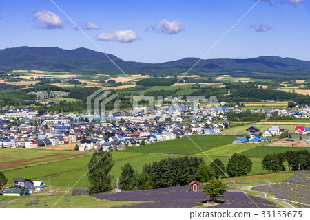 Furano-Hanajin Kaido Flower Fields 33153675