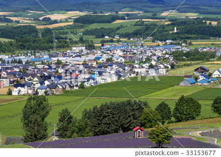 Furano-Hanajin Kaido Flower Fields Furano-Hanajin Kaido Flower Fields 33153677