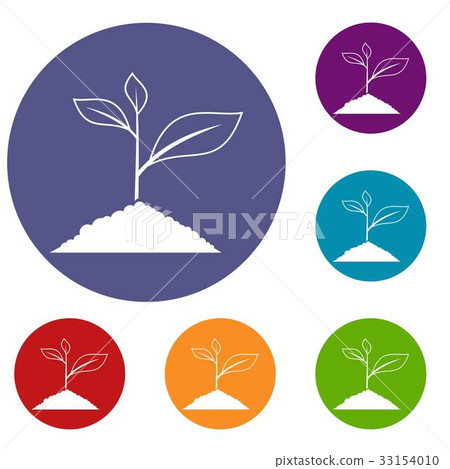 Growing plant icons set Growing plant icons set 33154010