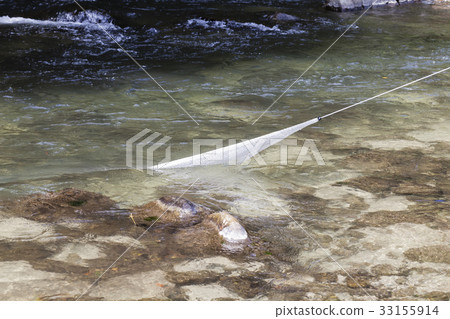 Net throwing Net throwing 33155914