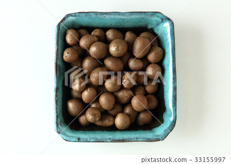 竹草 竹草 33155997