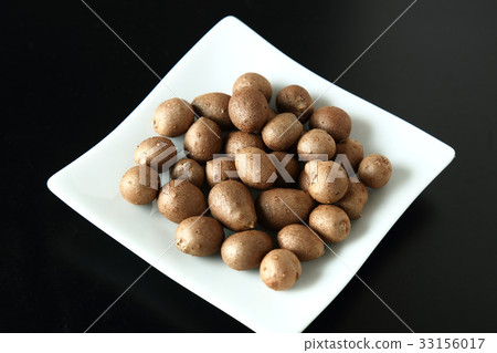 竹草 竹草 33156017