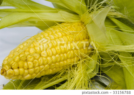 Ear of corn Ear of corn 33156788