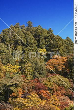 Kansai-Nikko Tabumune Kiroid Blue Sky 33156826