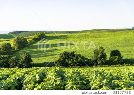 A hill town - Biei scenery in Biei 33157728