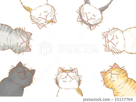 一隻貓 一隻貓 33157764