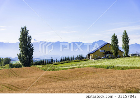 A hill town - Biei scenery in Biei A hill town - Biei scenery in Biei 33157842