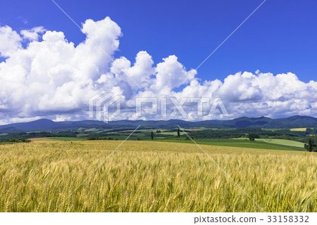 A hill town - Biei scenery in Biei 33158332