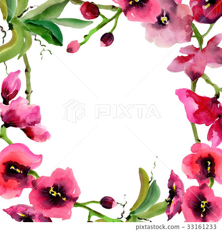 Wildflower orchid flower frame in a watercolor Wildflower orchid flower frame in a watercolor 33161233