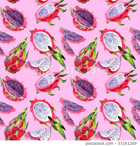 Exotic pitaya wild frukt pattern in a watercolor Exotic pitaya wild frukt pattern in a watercolor 33161269
