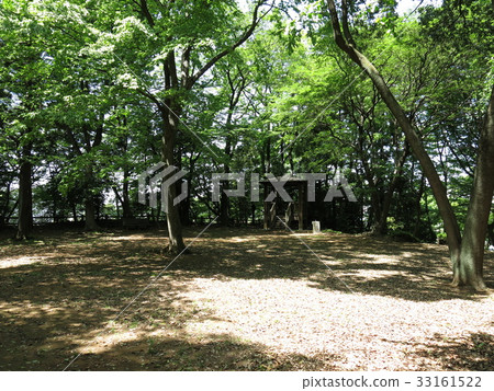 Maegasaki Castle Park in Nagareyama City 33161522